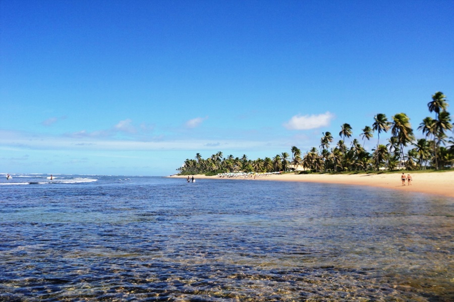 Praia-do-Forte-Bahia-coral.jpg